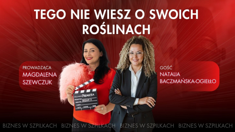 Rośliny w biurze to narzędzie biznesowe? – Biofilic design